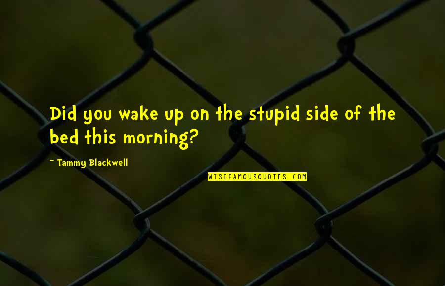 Stupid Humor Quotes By Tammy Blackwell: Did you wake up on the stupid side Stupid Humor Quotes By Tammy Blackwell: Did you wake up on the stupid side