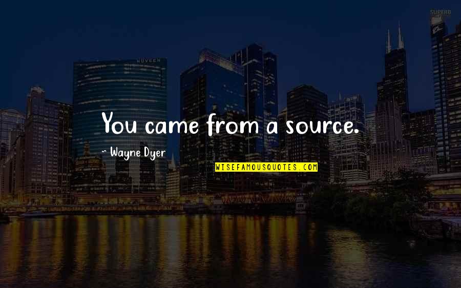 Stupid Idiotic Quotes By Wayne Dyer: You came from a source.