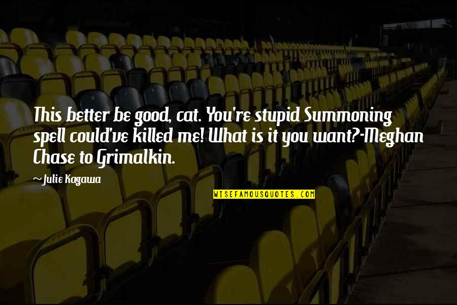 Stupid Is Good Quotes By Julie Kagawa: This better be good, cat. You're stupid Summoning