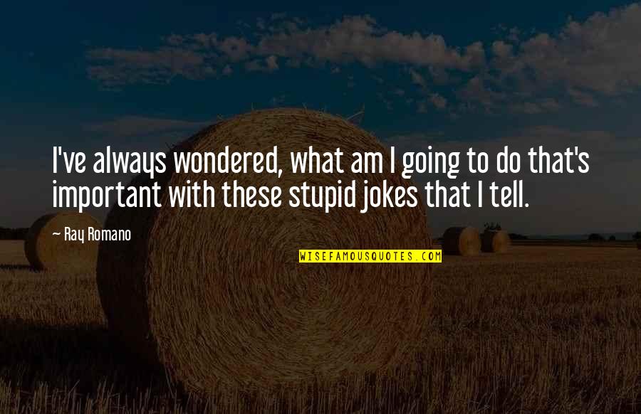 Stupid Jokes And Quotes By Ray Romano: I've always wondered, what am I going to