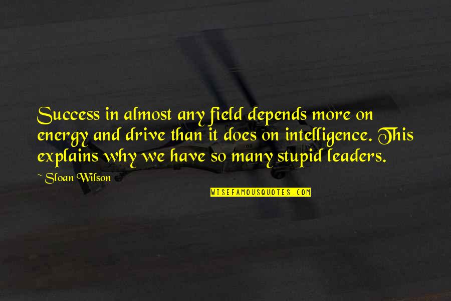 Stupid Leaders Quotes By Sloan Wilson: Success in almost any field depends more on