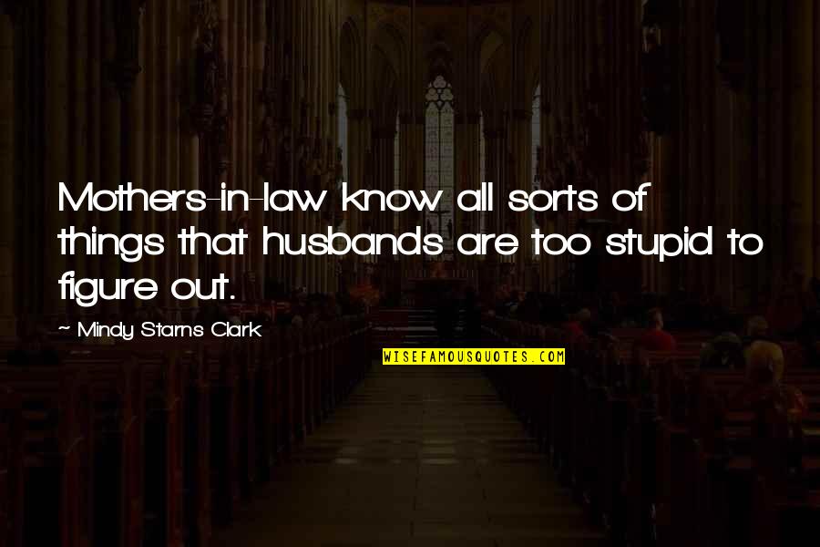 Stupid Mothers Quotes By Mindy Starns Clark: Mothers-in-law know all sorts of things that husbands