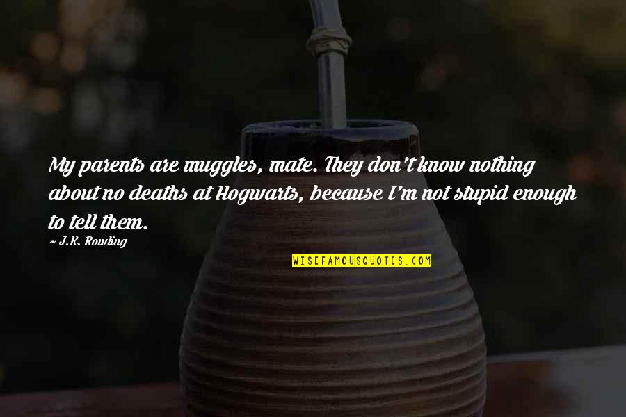 Stupid Parents Quotes By J.K. Rowling: My parents are muggles, mate. They don't know