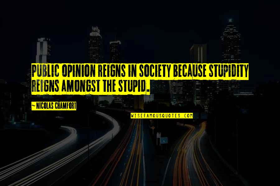Stupid Public Quotes By Nicolas Chamfort: Public opinion reigns in society because stupidity reigns