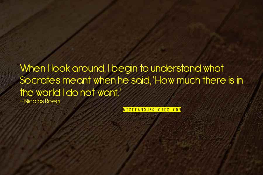 Stupid Questions Well Answered Quotes By Nicolas Roeg: When I look around, I begin to understand