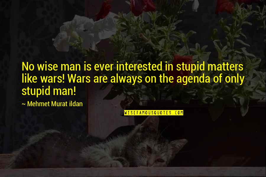 Stupid Quotes And Quotes By Mehmet Murat Ildan: No wise man is ever interested in stupid