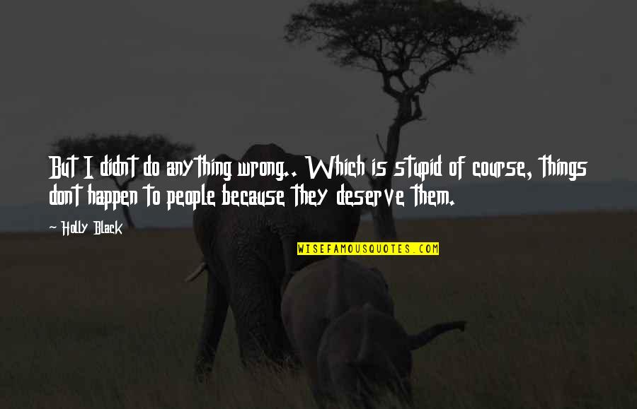 Stupid Things Happen Quotes By Holly Black: But I didnt do anything wrong.. Which is Stupid Things Happen Quotes By Holly Black: But I didnt do anything wrong.. Which is