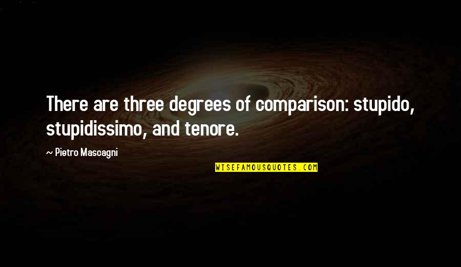 Stupidissimo Quotes By Pietro Mascagni: There are three degrees of comparison: stupido, stupidissimo,