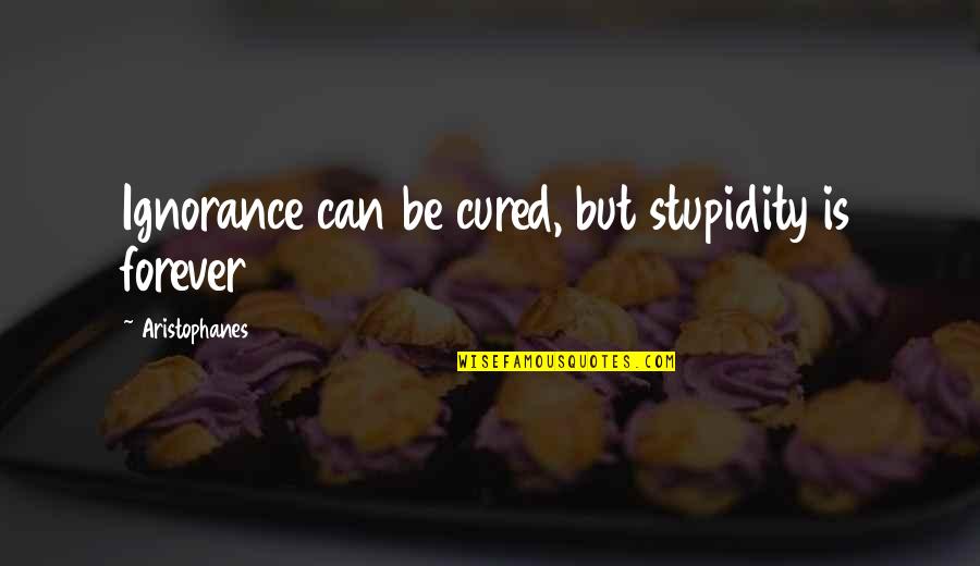 Stupidity Vs Ignorance Quotes By Aristophanes: Ignorance can be cured, but stupidity is forever Stupidity Vs Ignorance Quotes By Aristophanes: Ignorance can be cured, but stupidity is forever