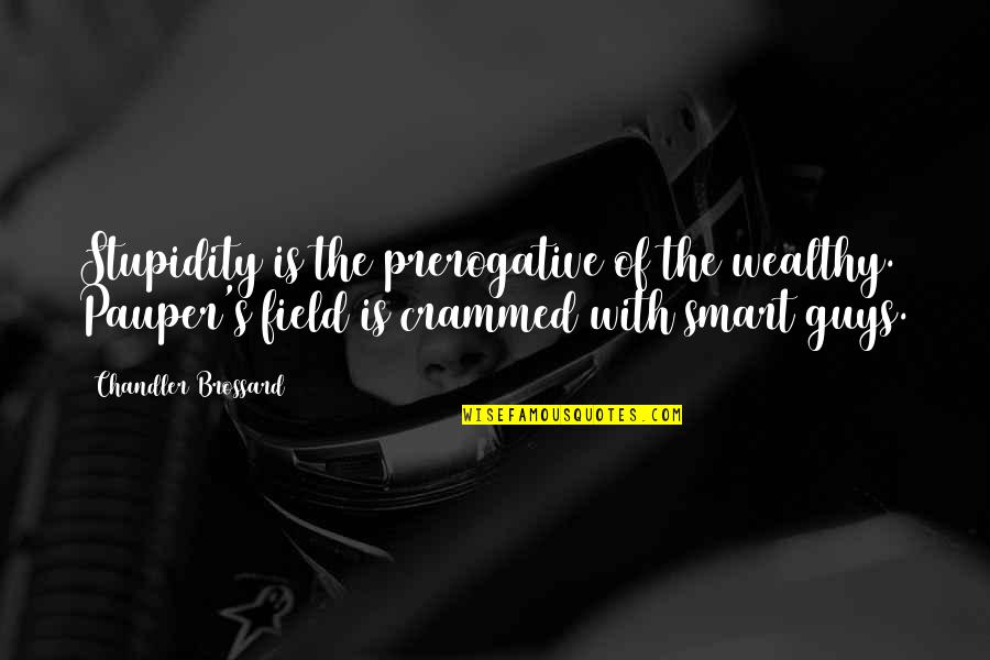 Stupidity's Quotes By Chandler Brossard: Stupidity is the prerogative of the wealthy. Pauper's