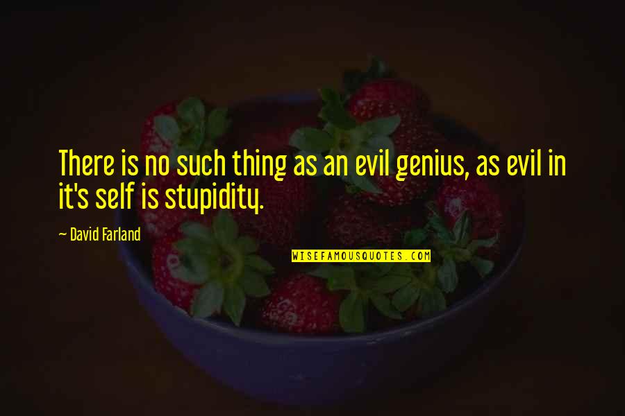 Stupidity's Quotes By David Farland: There is no such thing as an evil
