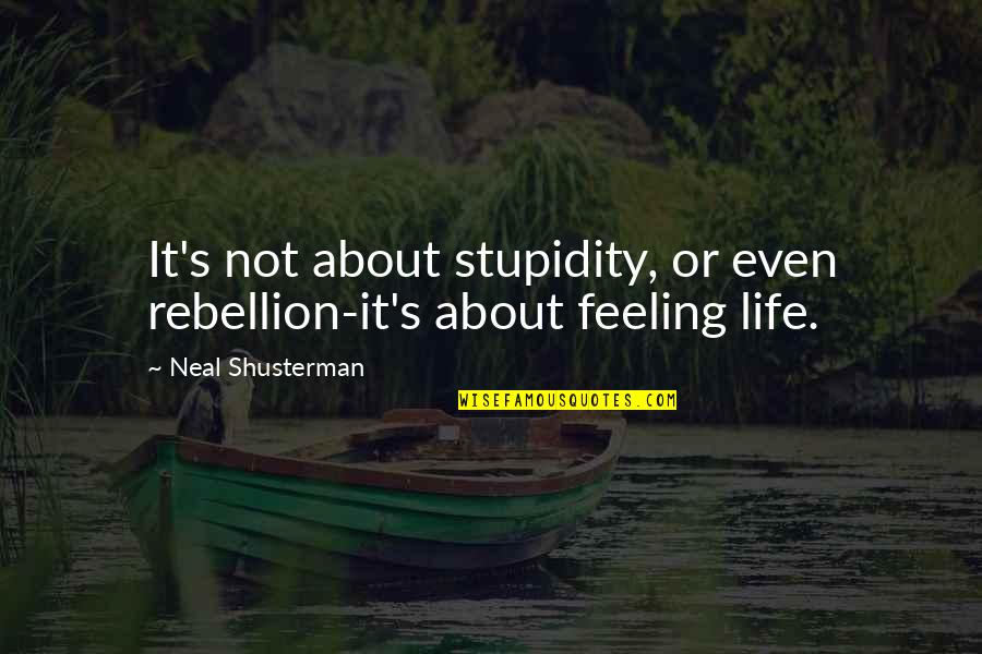 Stupidity's Quotes By Neal Shusterman: It's not about stupidity, or even rebellion-it's about