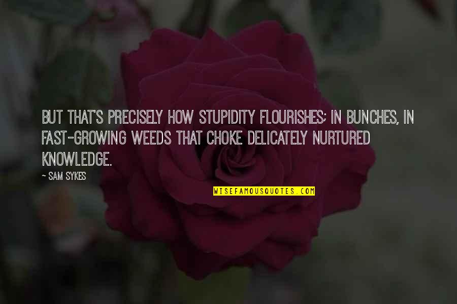 Stupidity's Quotes By Sam Sykes: But that's precisely how stupidity flourishes; in bunches,