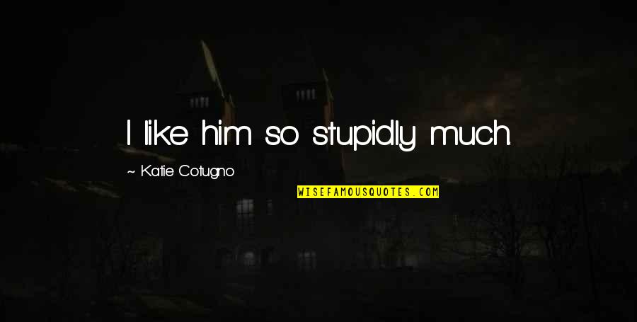 Stupidly Quotes By Katie Cotugno: I like him so stupidly much.