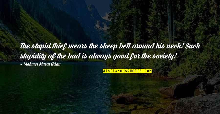 Stupidty Quotes By Mehmet Murat Ildan: The stupid thief wears the sheep bell around