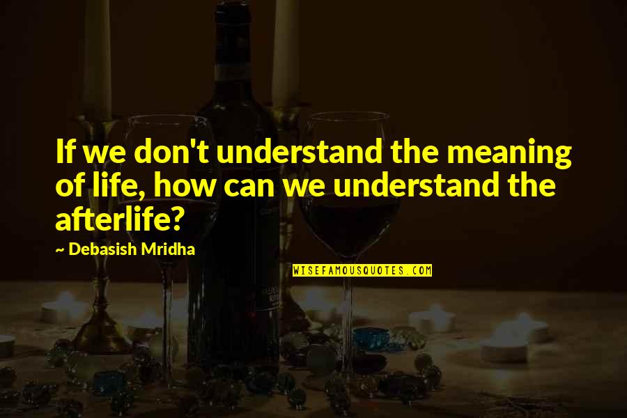 Stupore Significato Quotes By Debasish Mridha: If we don't understand the meaning of life,