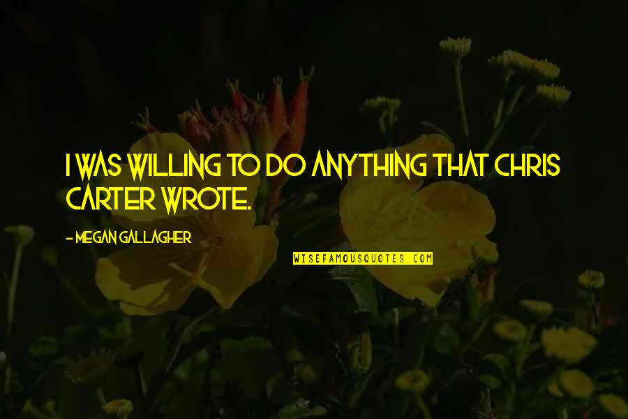 Sturesson Bengt Quotes By Megan Gallagher: I was willing to do anything that Chris Sturesson Bengt Quotes By Megan Gallagher: I was willing to do anything that Chris