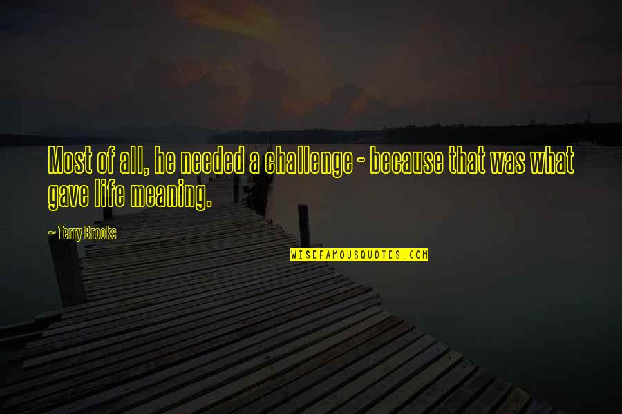 Sturr Quotes By Terry Brooks: Most of all, he needed a challenge -