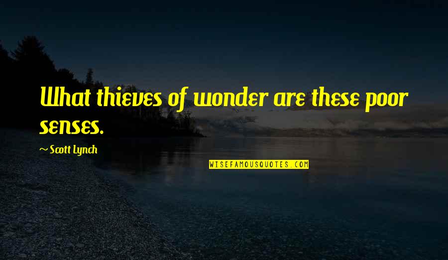 Stutler Bowl Quotes By Scott Lynch: What thieves of wonder are these poor senses. Stutler Bowl Quotes By Scott Lynch: What thieves of wonder are these poor senses.