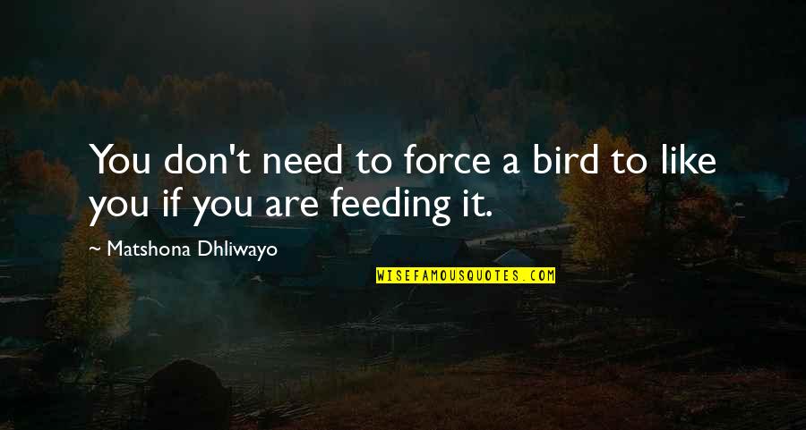 Stuyvesant Heights Quotes By Matshona Dhliwayo: You don't need to force a bird to