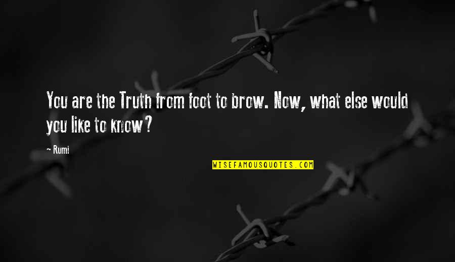 Stygian Nymph Quotes By Rumi: You are the Truth from foot to brow.