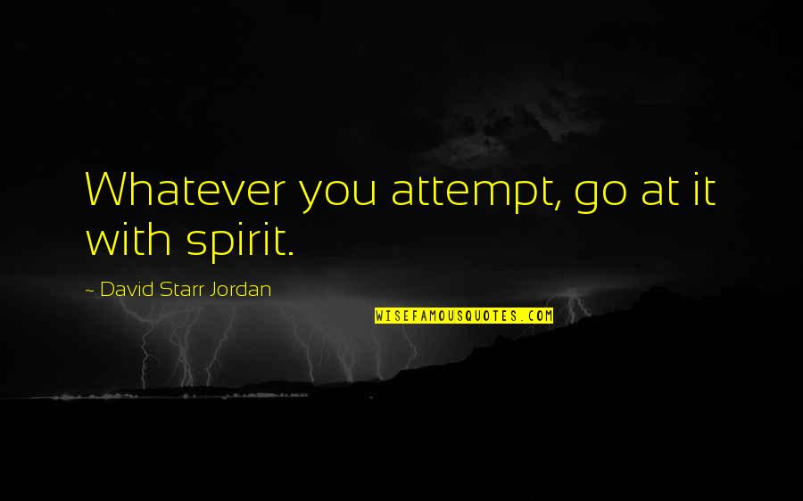 Stylish Gentleman Quotes By David Starr Jordan: Whatever you attempt, go at it with spirit.