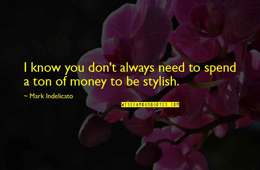 Stylish Quotes By Mark Indelicato: I know you don't always need to spend