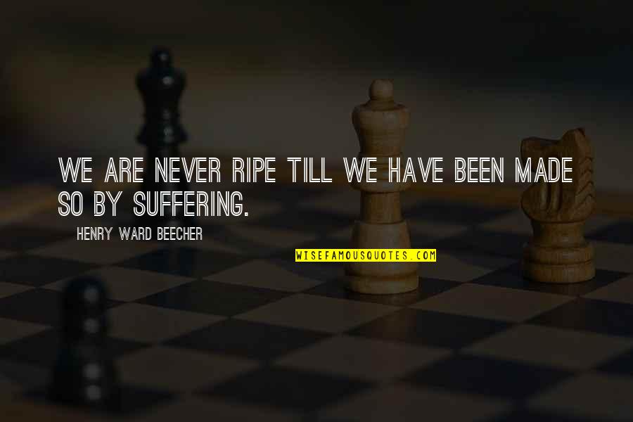 Suaqueso Quotes By Henry Ward Beecher: We are never ripe till we have been Suaqueso Quotes By Henry Ward Beecher: We are never ripe till we have been