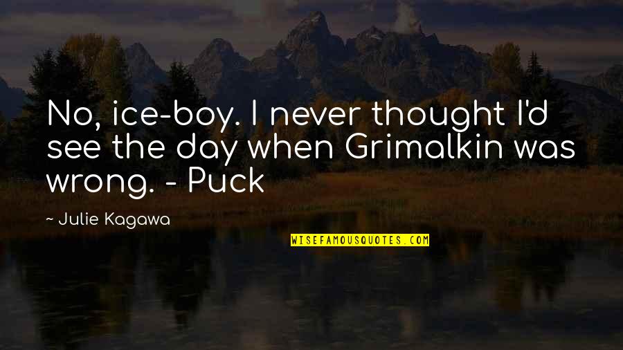Suardeyasasri Quotes By Julie Kagawa: No, ice-boy. I never thought I'd see the