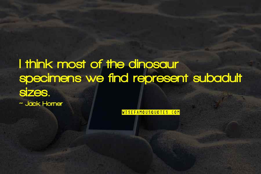 Subadult Quotes By Jack Horner: I think most of the dinosaur specimens we