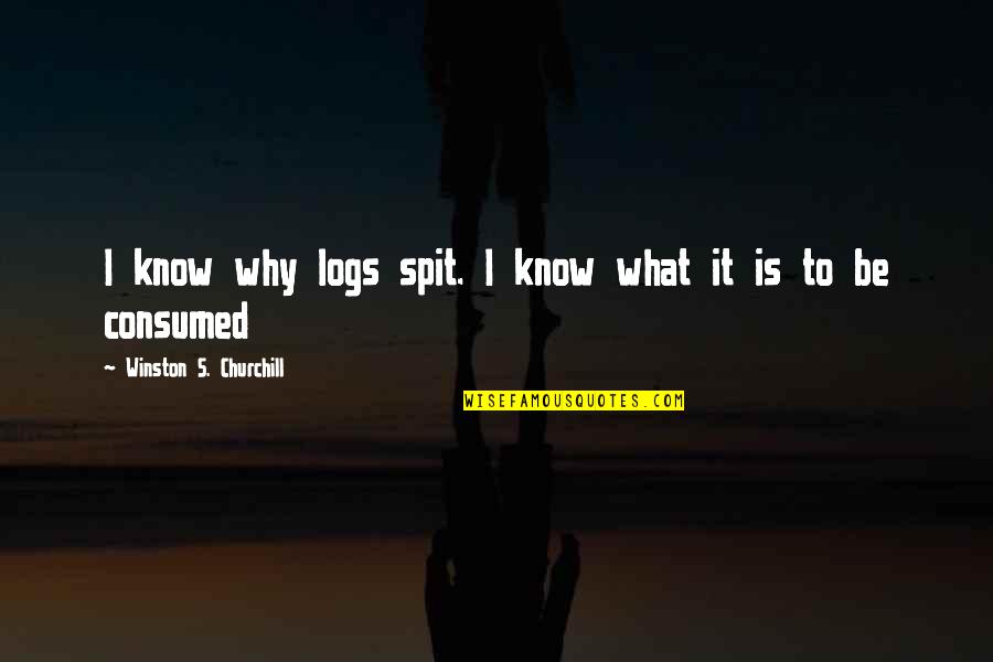 Subb Quotes By Winston S. Churchill: I know why logs spit. I know what