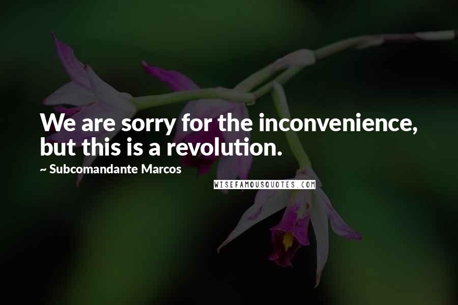 Subcomandante Marcos quotes: We are sorry for the inconvenience, but this is a revolution.