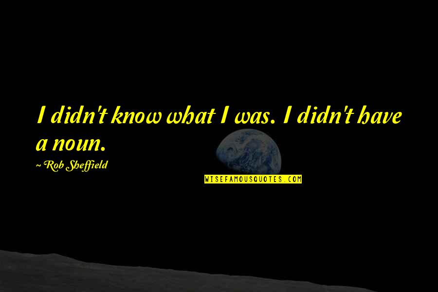 Subhash Ji Quotes By Rob Sheffield: I didn't know what I was. I didn't Subhash Ji Quotes By Rob Sheffield: I didn't know what I was. I didn't