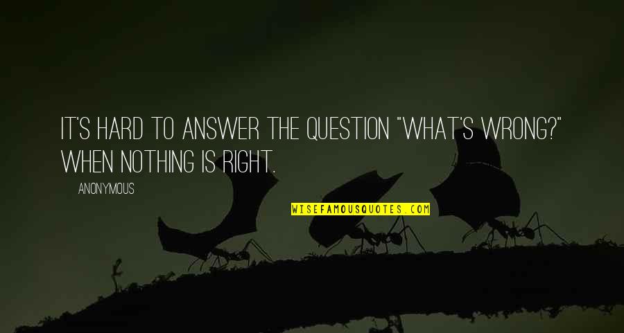 Subhendu Roy Quotes By Anonymous: It's hard to answer the question "what's wrong?"