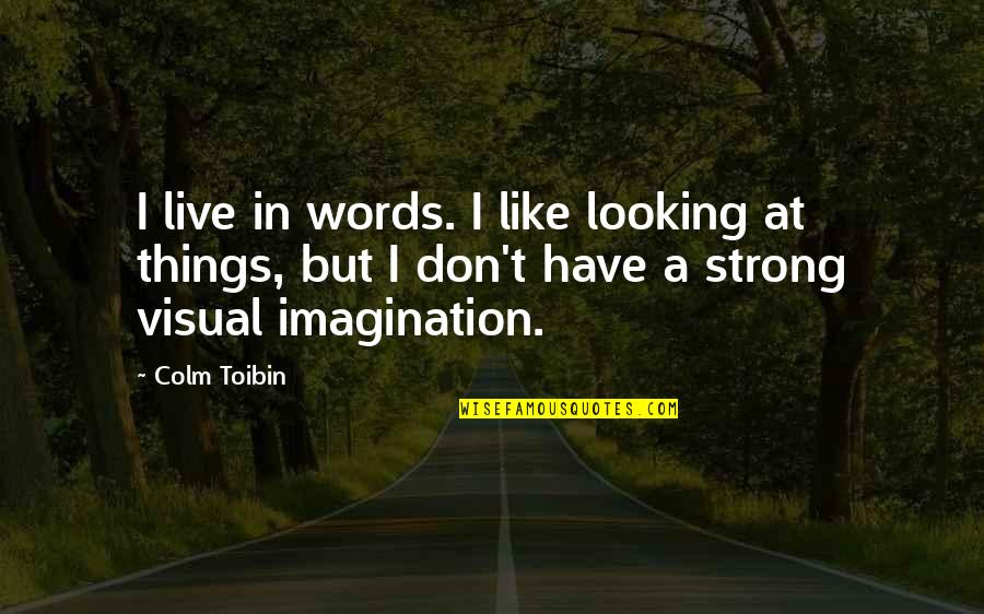 Subhumans Big Quotes By Colm Toibin: I live in words. I like looking at