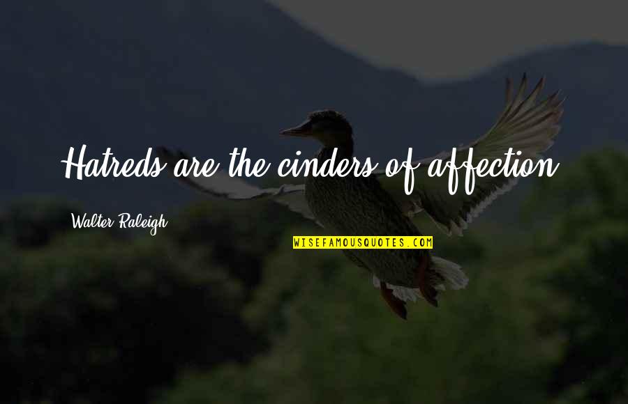 Subjective Morality Quotes By Walter Raleigh: Hatreds are the cinders of affection.