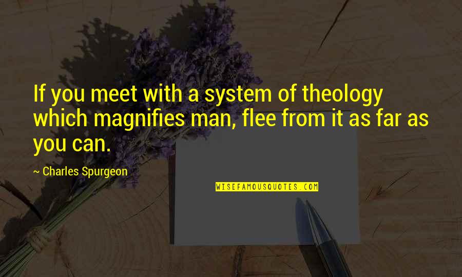 Sublation Philosophy Quotes By Charles Spurgeon: If you meet with a system of theology