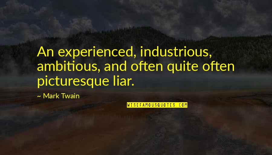 Sublett Quotes By Mark Twain: An experienced, industrious, ambitious, and often quite often
