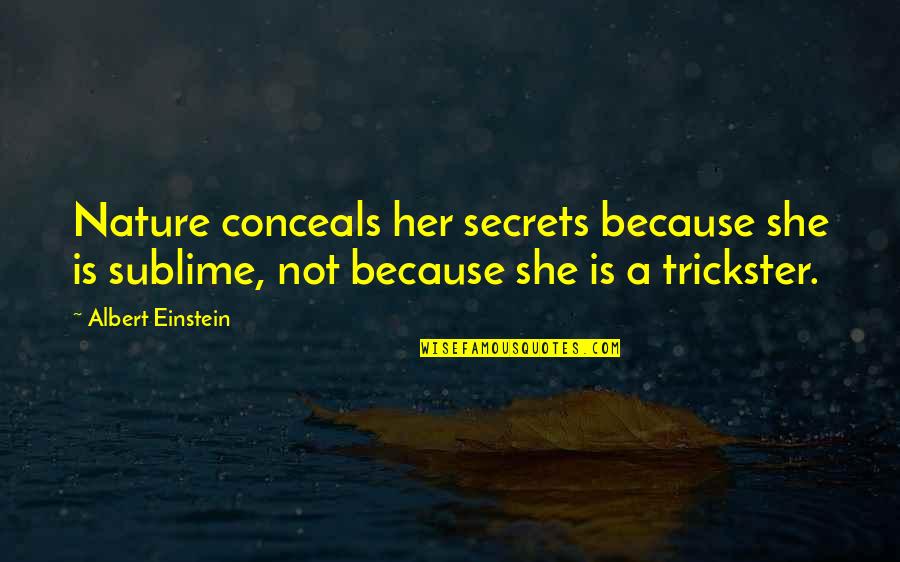 Sublime Nature Quotes By Albert Einstein: Nature conceals her secrets because she is sublime,