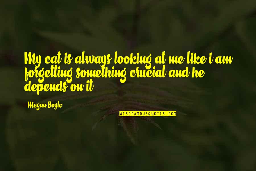 Sublunar Minds Quotes By Megan Boyle: My cat is always looking at me like Sublunar Minds Quotes By Megan Boyle: My cat is always looking at me like