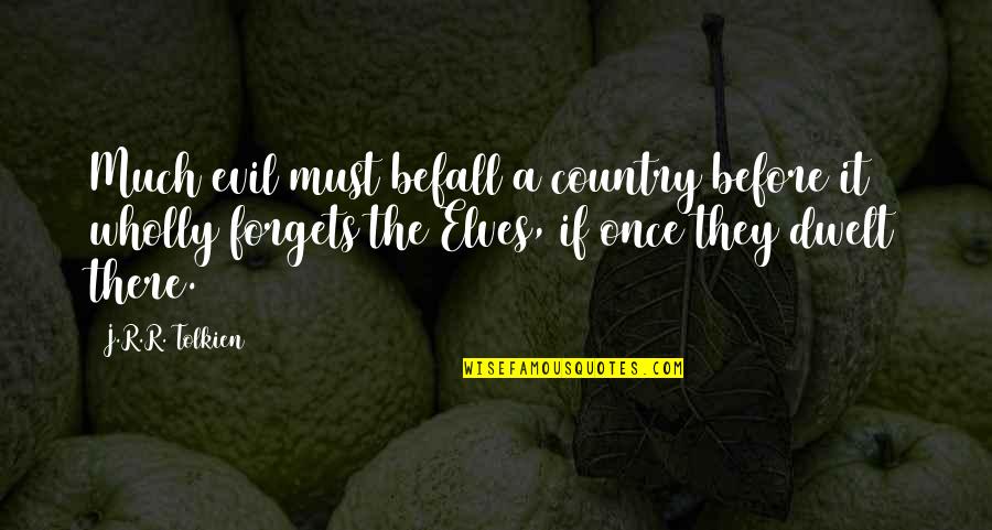 Submarino San Juan Quotes By J.R.R. Tolkien: Much evil must befall a country before it Submarino San Juan Quotes By J.R.R. Tolkien: Much evil must befall a country before it