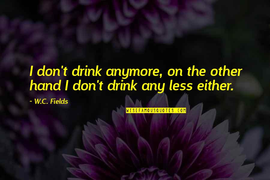 Submeter Solutions Quotes By W.C. Fields: I don't drink anymore, on the other hand