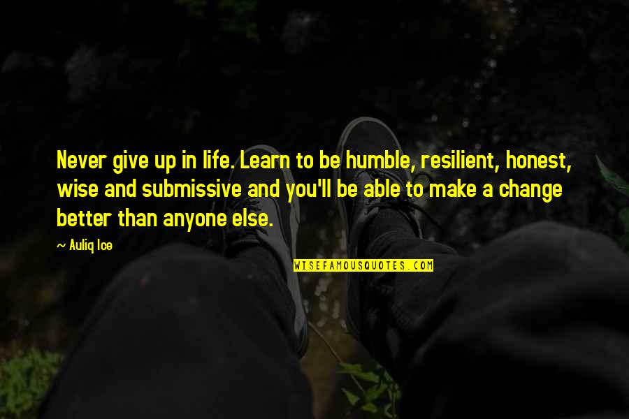 Submissive Quotes By Auliq Ice: Never give up in life. Learn to be