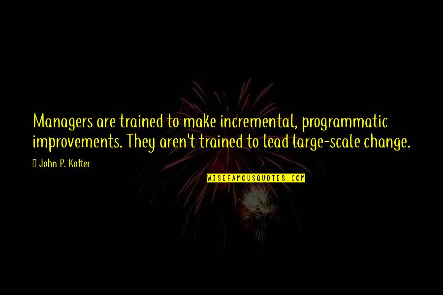 Subnational Scale Quotes By John P. Kotter: Managers are trained to make incremental, programmatic improvements.