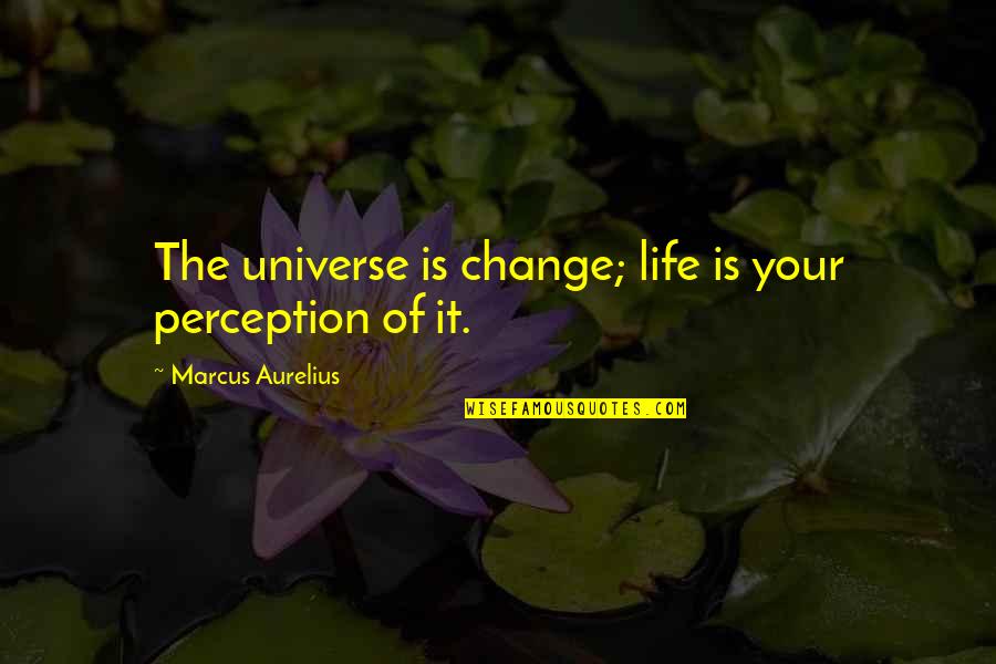 Subordination Synonyms Quotes By Marcus Aurelius: The universe is change; life is your perception