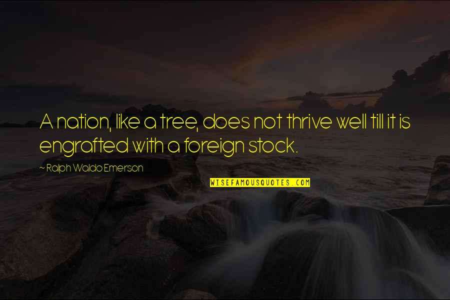 Suborning Quotes By Ralph Waldo Emerson: A nation, like a tree, does not thrive