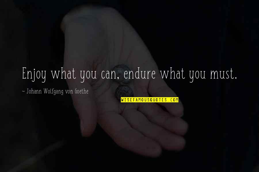 Subpoened Quotes By Johann Wolfgang Von Goethe: Enjoy what you can, endure what you must.