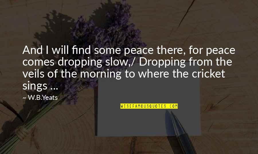 Subpoened Quotes By W.B.Yeats: And I will find some peace there, for