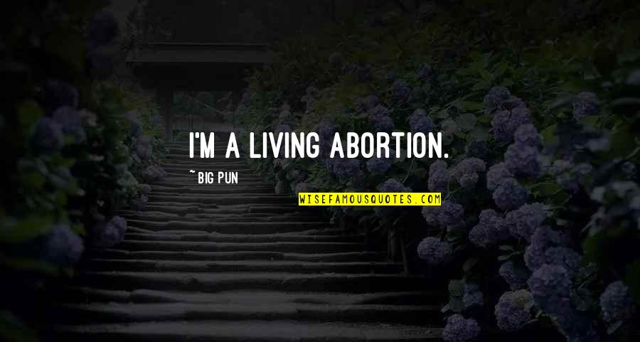 Subramaniya Bharathiyar Quotes By Big Pun: I'm a living abortion.