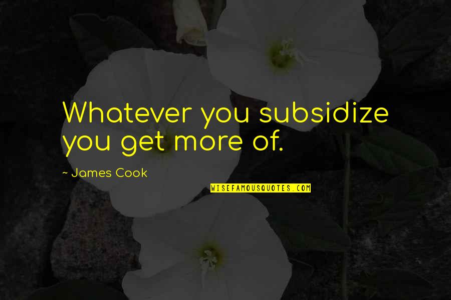 Subsidize Quotes By James Cook: Whatever you subsidize you get more of.